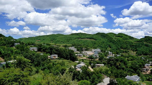 2起黨員干部違規吃喝、嚴重違反中央八項規定精神典型問題，被公開通報！